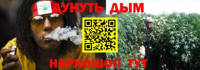 молекула духа Краснознаменск