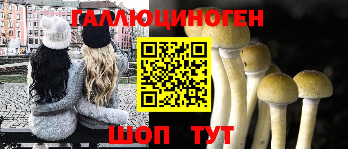 Псилоцибиновые грибы прущие грибы  Вход с VPN  Новокузнецк 