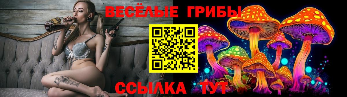 Псилоцибиновые грибы Psilocybe Новокузнецк